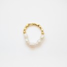 Aira ring gull thumbnail